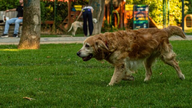 best-parks-recreation-chennai-2026