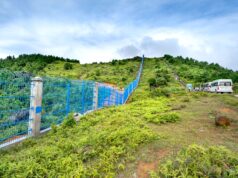Bus Accident Near Coonoor Injures 20 AP Tourists: What Happened and Safety Concerns for Tamil Nadu Travelers