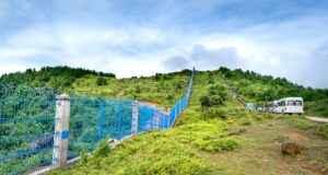 Bus Accident Near Coonoor Injures 20 AP Tourists: What Happened and Safety Concerns for Tamil Nadu Travelers