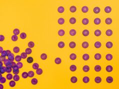 Canva vs Adobe Express vs Figma for Indian Designers 2026: Which Design Tool Should You Choose?