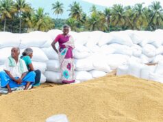 Crop Insurance for Tamil Nadu Farmers 2026 – PM Fasal Bima Complete Guide