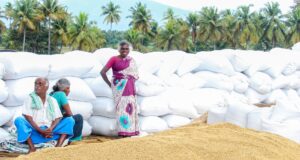 Crop Insurance for Tamil Nadu Farmers 2026 – PM Fasal Bima Complete Guide