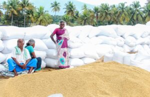Crop Insurance for Tamil Nadu Farmers 2026 – PM Fasal Bima Complete Guide