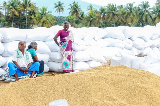 Crop Insurance for Tamil Nadu Farmers 2026 – PM Fasal Bima Complete Guide
