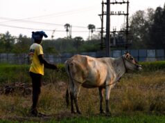 DMDK Demands Power Cut Solutions and MSP Panel for Tamil Nadu Farmers