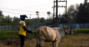 DMDK Demands Power Cut Solutions and MSP Panel for Tamil Nadu Farmers