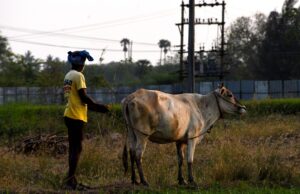 DMDK Demands Power Cut Solutions and MSP Panel for Tamil Nadu Farmers