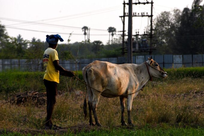 DMDK Demands Power Cut Solutions and MSP Panel for Tamil Nadu Farmers