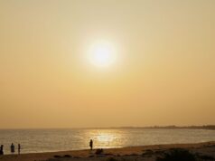 Driver Arrested for Illegal Sand Mining Near Katpadi: What Tamil Nadu Residents Need to Know
