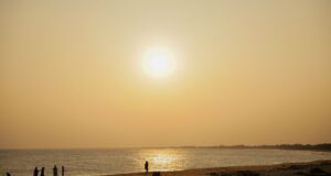 Driver Arrested for Illegal Sand Mining Near Katpadi: What Tamil Nadu Residents Need to Know