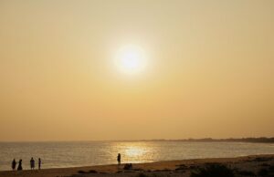 Driver Arrested for Illegal Sand Mining Near Katpadi: What Tamil Nadu Residents Need to Know