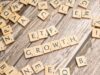 Smart Money Move: Why Groww MF’s Equity Chief is Betting on Multicap Strategies for Indian Investors