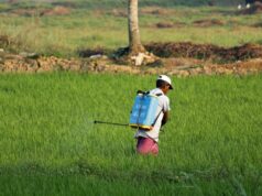 Kisan Vikas Patra 2026 – Is It Worth Investing for Indians?