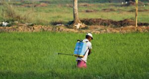 Kisan Vikas Patra 2026 – Is It Worth Investing for Indians?