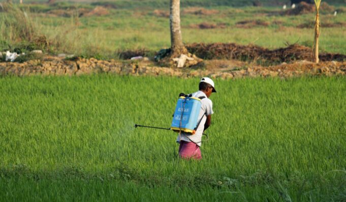 Kisan Vikas Patra 2026 – Is It Worth Investing for Indians?