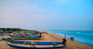 NGT Orders Fines for Beach Littering in Tamil Nadu: What It Means for Chennai