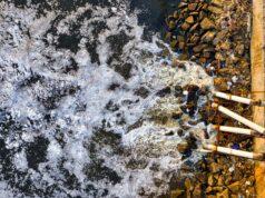 NGT Orders Urgent Action Against Sewage Pollution in Korattur and Madambakkam Lakes