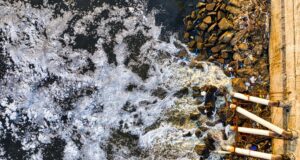 NGT Orders Urgent Action Against Sewage Pollution in Korattur and Madambakkam Lakes