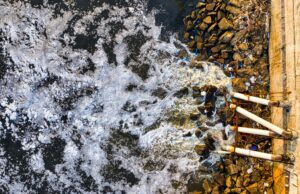 NGT Orders Urgent Action Against Sewage Pollution in Korattur and Madambakkam Lakes