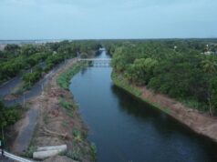 NLCIL Observes World Environment Day 2024: What It Means for Tamil Nadu