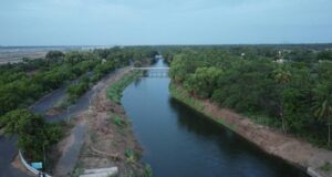 NLCIL Observes World Environment Day 2024: What It Means for Tamil Nadu