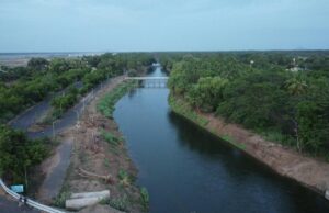 NLCIL Observes World Environment Day 2024: What It Means for Tamil Nadu