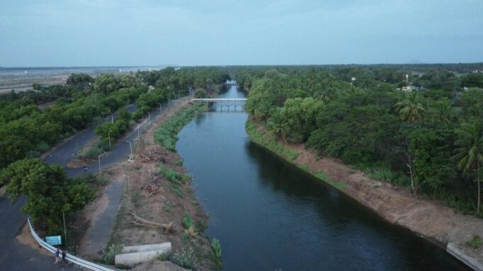 NLCIL Observes World Environment Day 2024: What It Means for Tamil Nadu