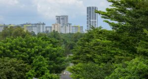 NoBroker vs 99acres vs MagicBricks – Best for Chennai Property Buyers 2024