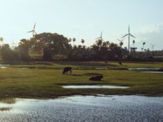 Tamil Nadu Government Accelerates Clean Energy Transition: What It Means for You