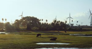 Tamil Nadu Government Accelerates Clean Energy Transition: What It Means for You