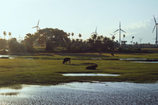 tamil-nadu-clean-energy-transition-minister-nirmalkumar