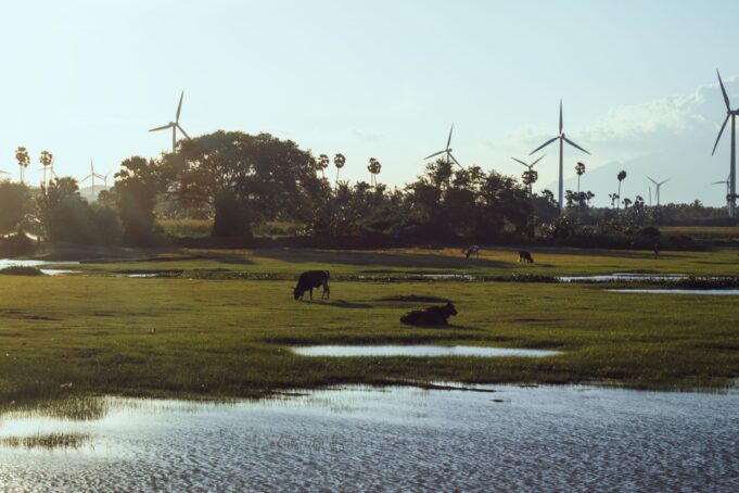 Tamil Nadu Government Adopts Comprehensive Clean Energy Strategy: Minister Nirmalkumar’s Vision