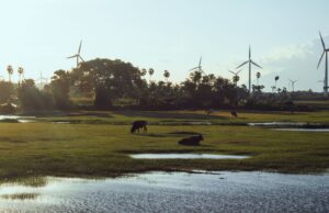 Tamil Nadu Government Adopts Comprehensive Clean Energy Transition Plan: Minister Nirmalkumar