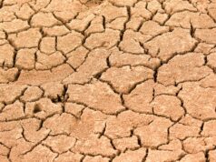 50-Year Water Crisis Deepens in Thiru.Vi.Ka. Nagar This Summer – Chennai’s Forgotten Community Struggles