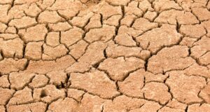50-Year Water Crisis Deepens in Thiru.Vi.Ka. Nagar This Summer – Chennai’s Forgotten Community Struggles