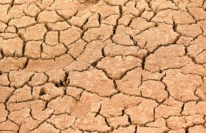 50-Year Water Crisis Deepens in Thiru.Vi.Ka. Nagar This Summer – Chennai’s Forgotten Community Struggles