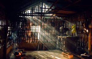 UV Radiation Causing Blindness in Rural India: New Study Reveals Health Crisis